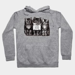 I Was Normal Three Cats Ago Hoodie